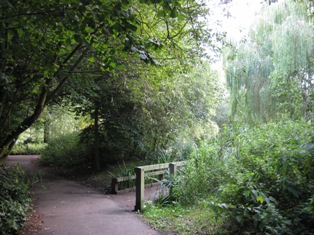 e0018350_6174536.jpg
