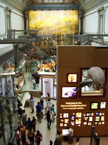 c0181652_135847.jpg