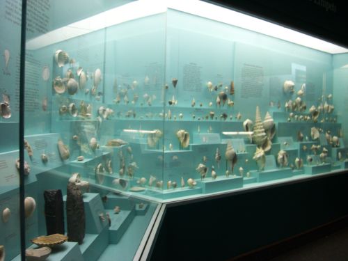 c0181652_142556.jpg