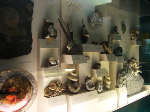 c0181652_144986.jpg
