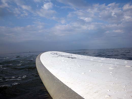 e0050753_052176.jpg