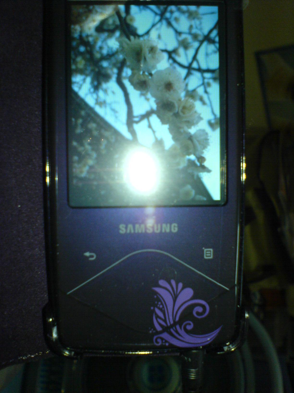 e0111557_1554731.jpg