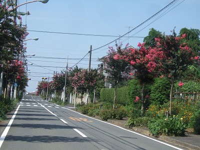 c0097558_23501869.jpg
