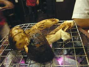 c0171358_1235640.jpg