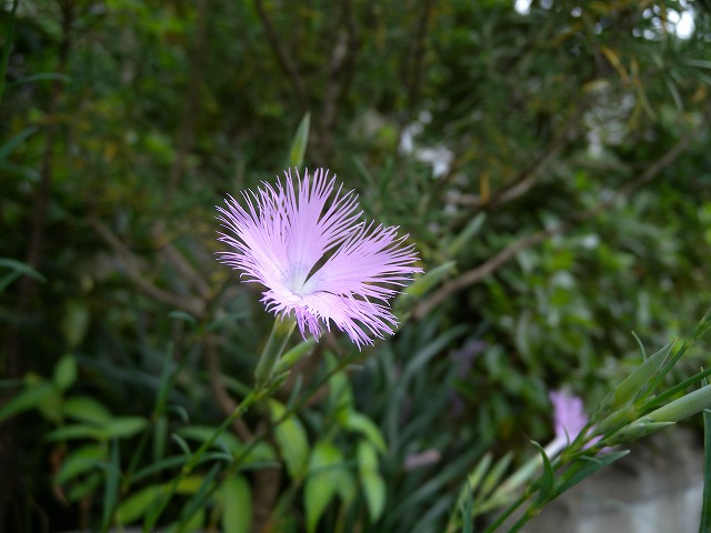 b0104861_20273897.jpg