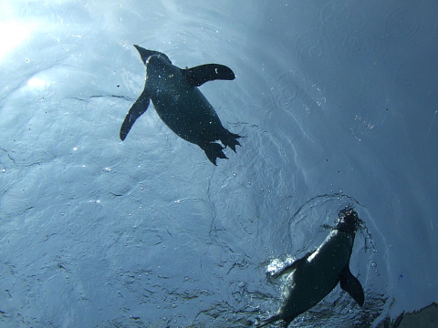 c0107861_22383017.jpg
