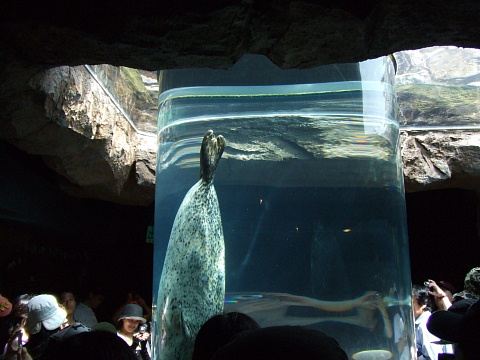 c0107861_22384899.jpg