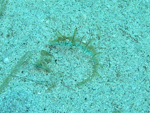 b0062363_22314166.jpg