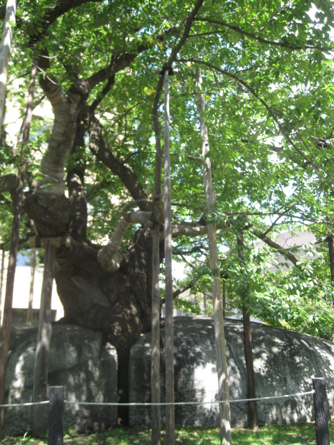 e0158363_058249.jpg