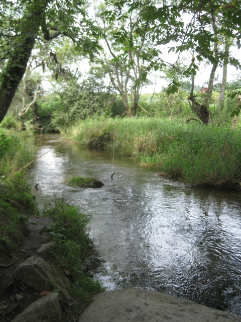 e0158363_10362087.jpg