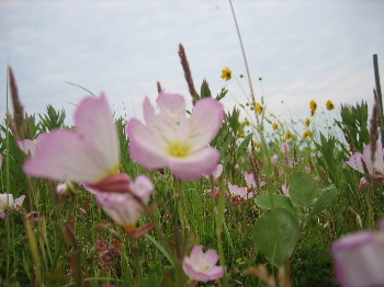 b0079965_728973.jpg