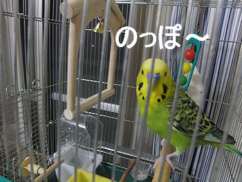 f0196665_23312976.jpg