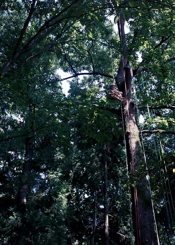 c0084666_21141880.jpg