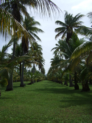 e0184067_16202353.jpg