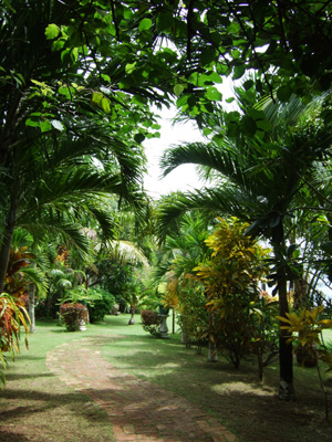 e0184067_1621439.jpg