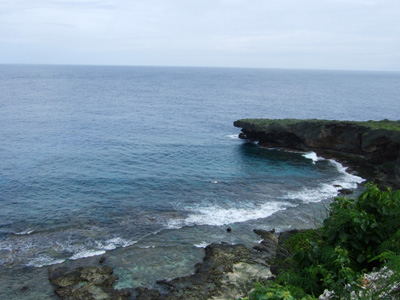 e0184067_1622012.jpg