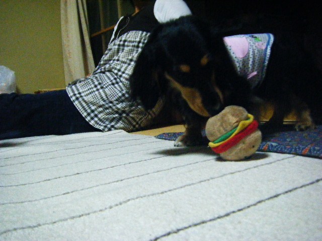 f0207970_801568.jpg