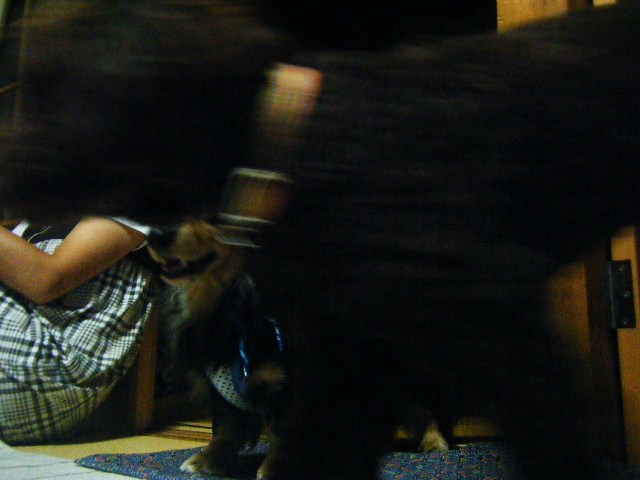 f0207970_84637.jpg