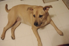 f0004775_74914.jpg