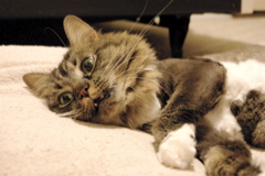 f0004775_814862.jpg