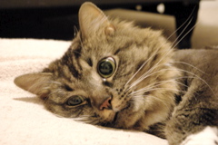 f0004775_82980.jpg