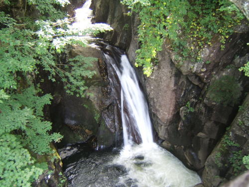f0145575_18272219.jpg