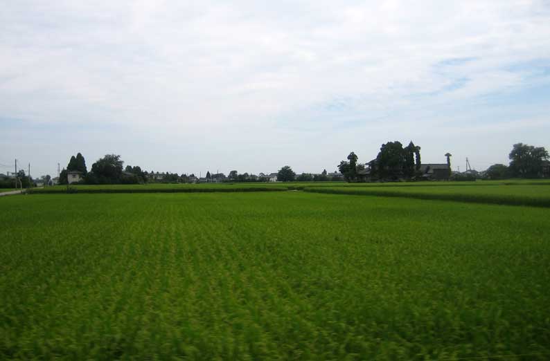 b0057679_759176.jpg