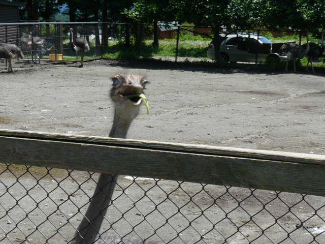 c0093179_810465.jpg