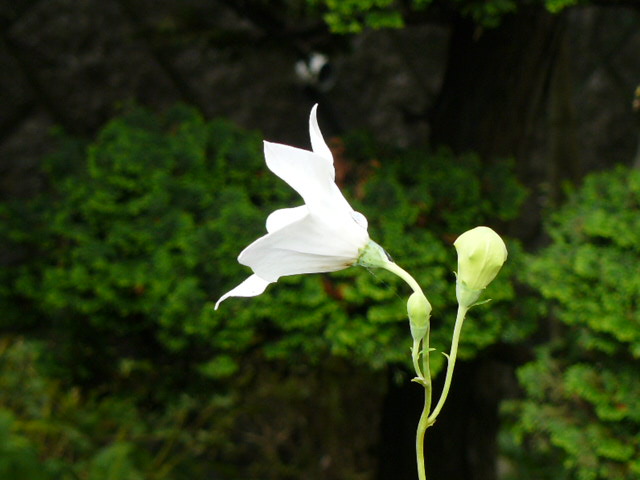 c0093179_83836.jpg