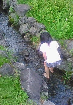 e0173480_1621364.jpg