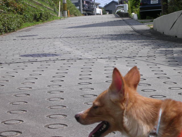 d0142182_11123021.jpg