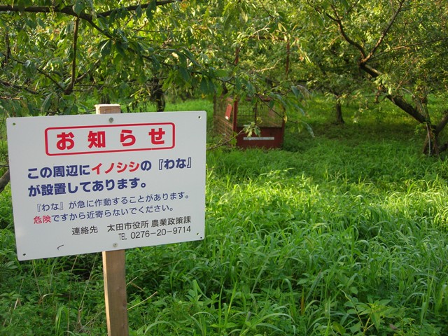 a0045688_1230122.jpg