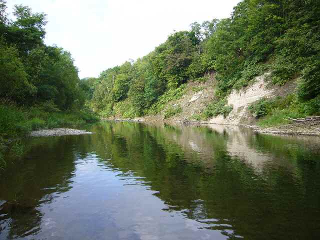 a0118989_23393376.jpg