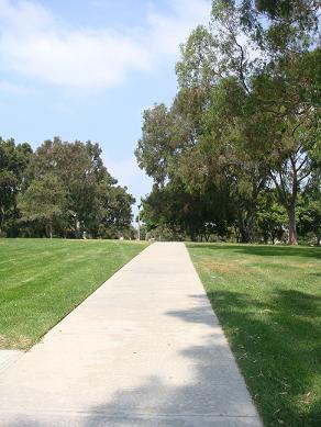 c0002590_13483345.jpg