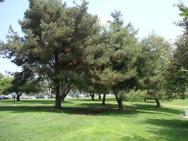 c0002590_13521215.jpg