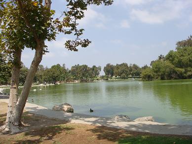 c0002590_1353444.jpg