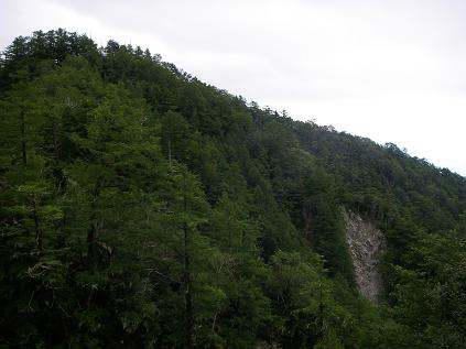 f0202990_22295220.jpg