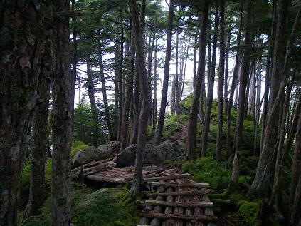 f0202990_2253473.jpg
