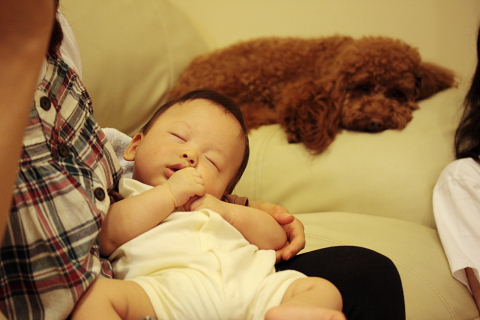 b0104592_1773523.jpg