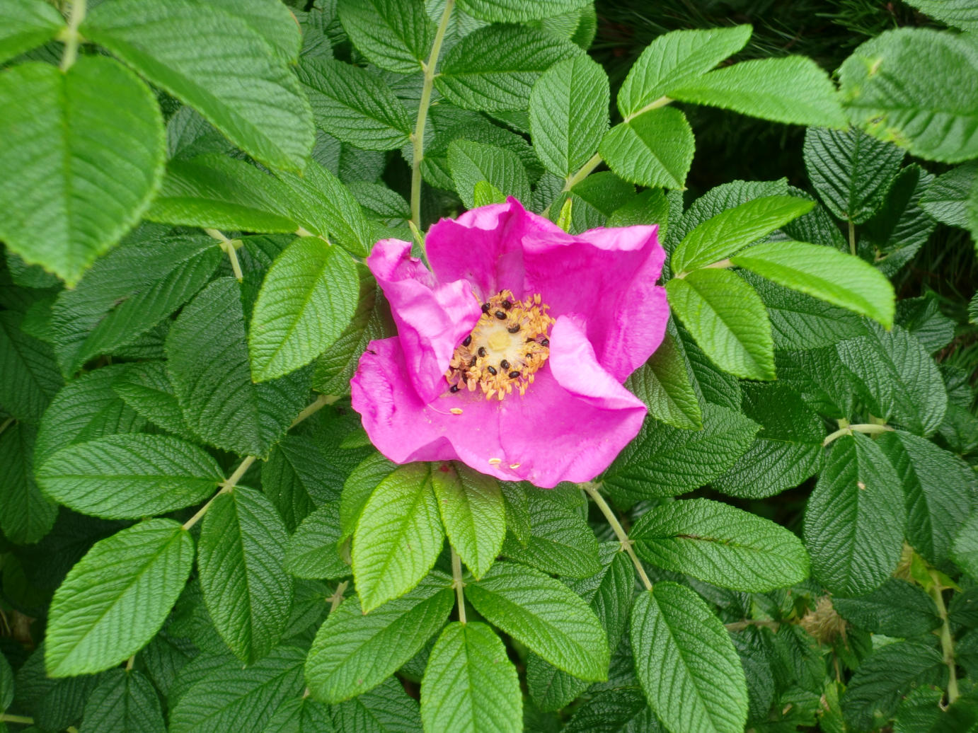 b0151893_18135818.jpg