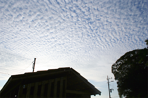d0100095_19394469.jpg