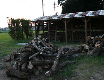 d0100095_2002446.jpg