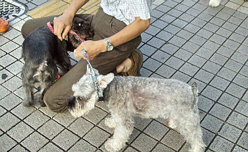 c0138198_9255336.jpg