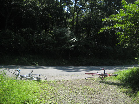 b0097200_18303950.jpg
