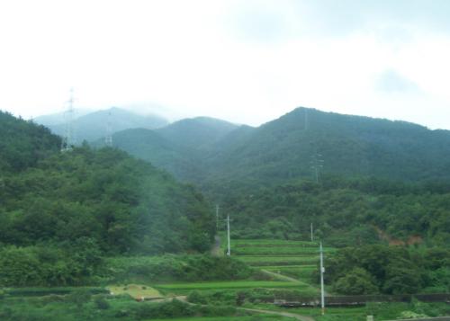 d0041400_21452113.jpg