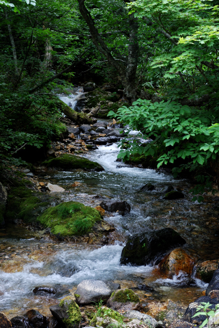 f0178900_20503730.jpg