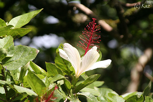 b0000801_1437292.jpg