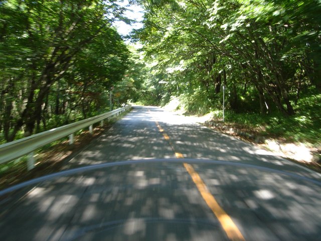 a0116205_23571517.jpg