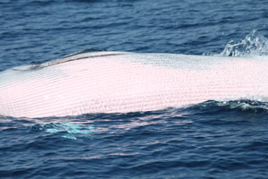 f0048405_2174627.jpg