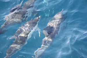 f0048405_218940.jpg